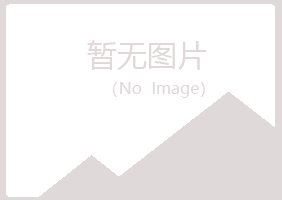 桂林字迹咨询有限公司